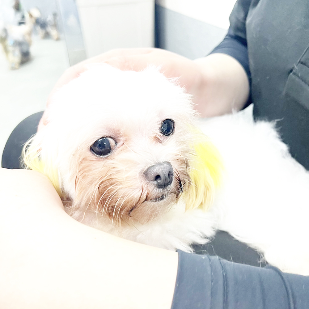 生徒が撮影した写真を送ってくれました！②